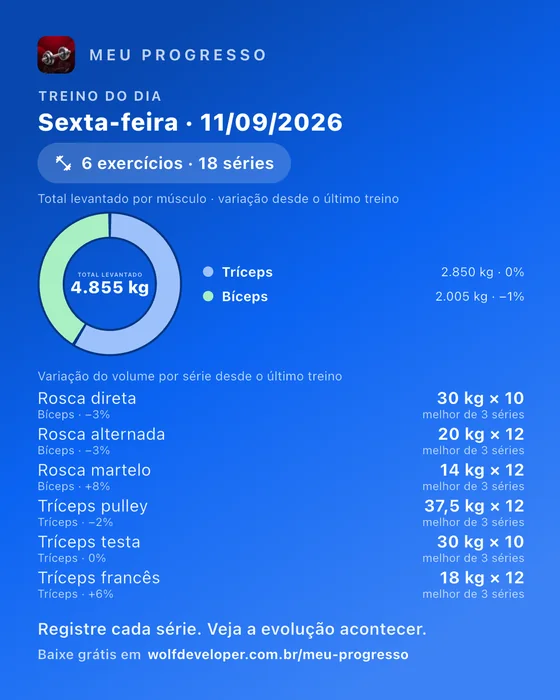 Imagem do treino do dia com a rosca do total levantado por músculo