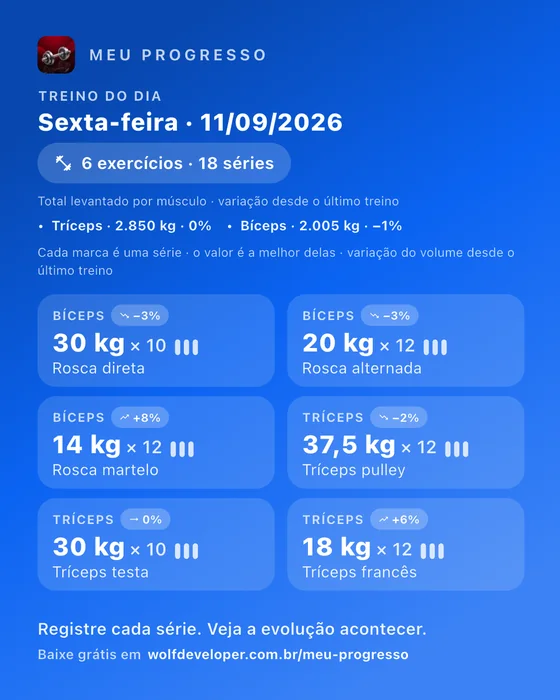 Imagem do treino do dia com a grade de exercícios e os recordes