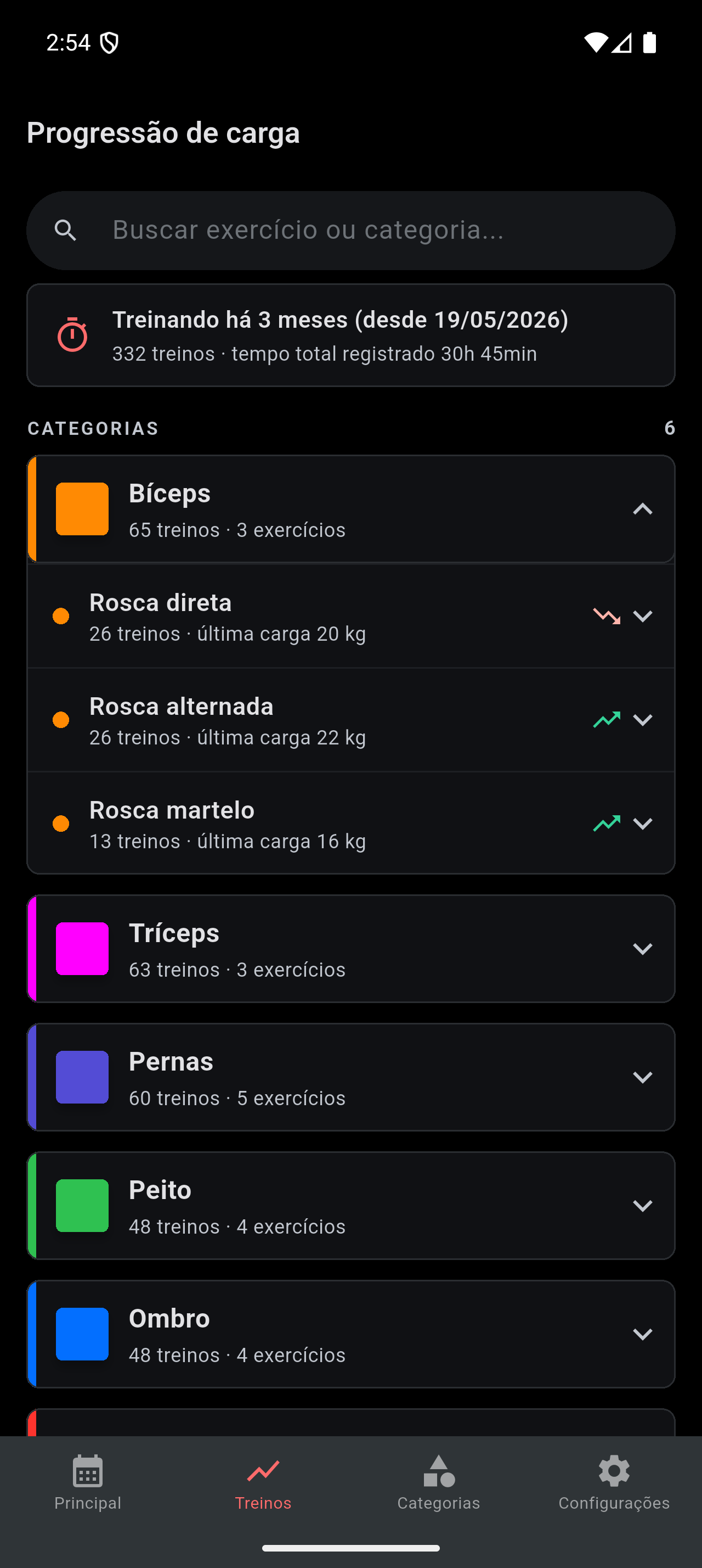 Gráfico de progressão de carga de um exercício